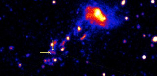 Sterren geboren in de wildernis